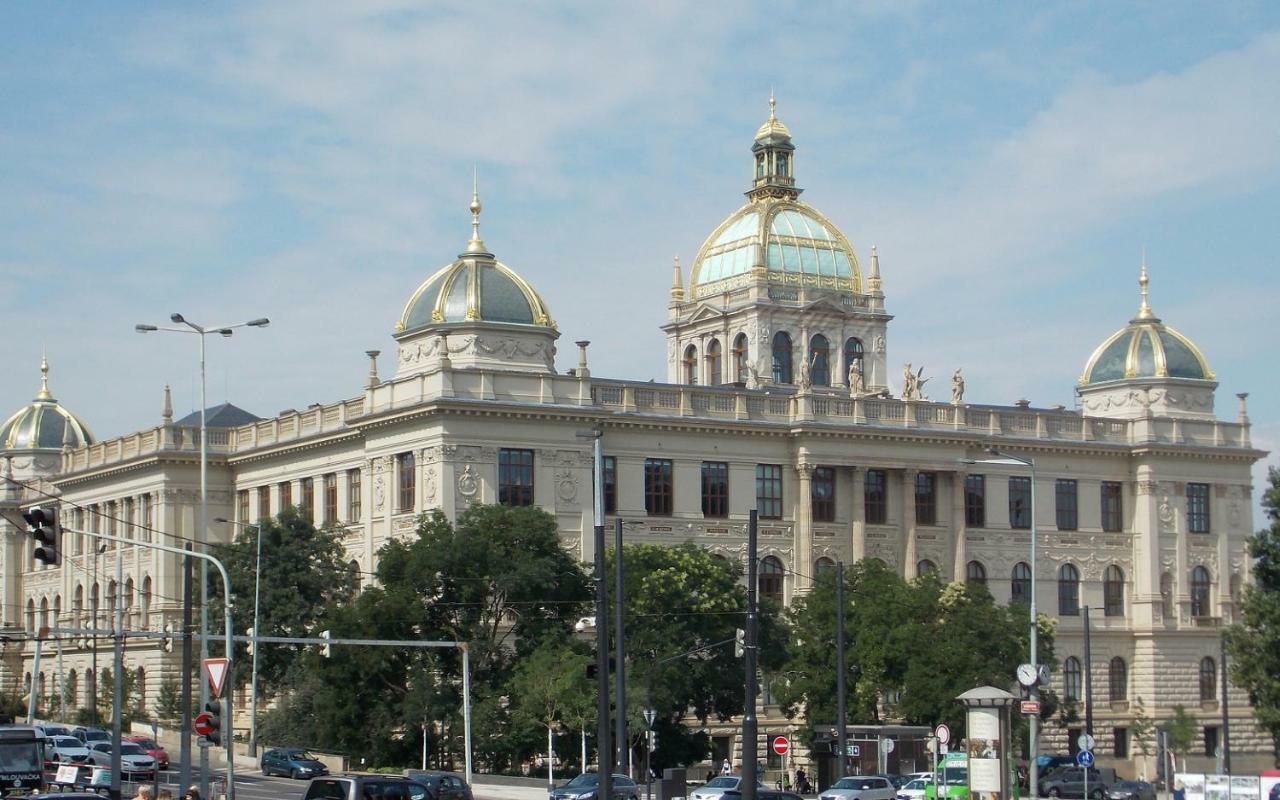 Casa Royal Apartment *